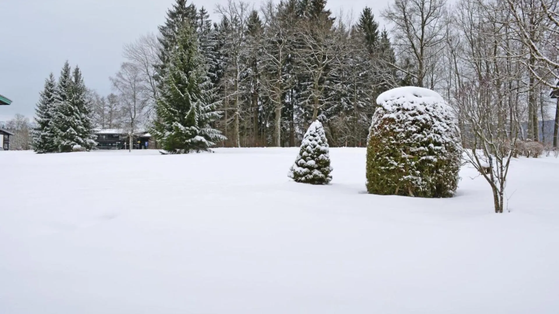Holiday Apartment Siegsdorf In Bavaria