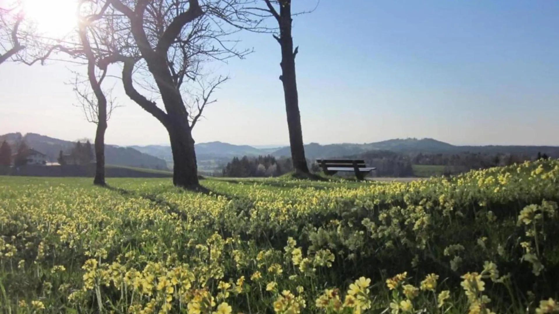 Holiday Apartment Siegsdorf In Bavaria